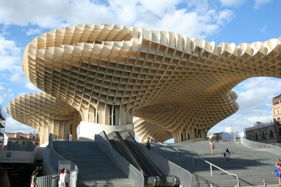 champignons de seville